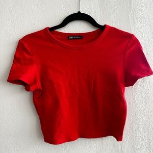 Zara Basic Red Cropped Top